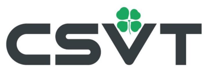 CSVT (Центрстройсвет)