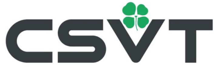 CSVT (Центрстройсвет)
