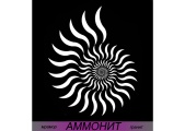 Аммонит